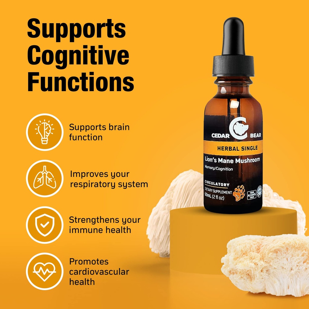 cedar-bear-lion-s-mane-mushroom-suppleme-3.jpg