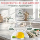 probiotic-kombucha-gummies-sugar-free-or-2.jpg