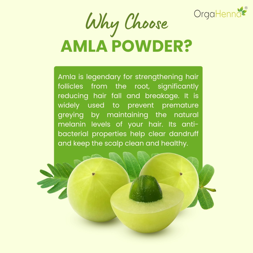 100-pure-natural-amla-powder-herbal-hair-3.jpg