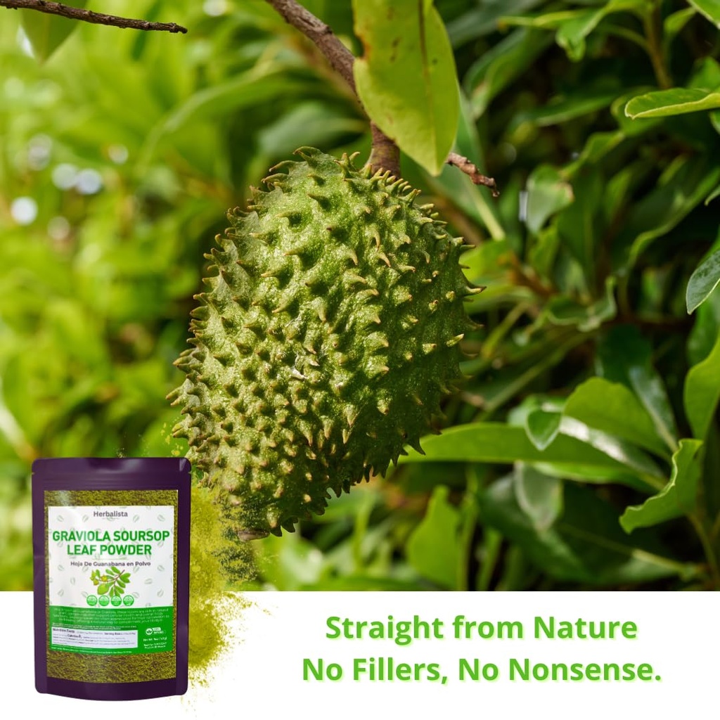 herbalista-16oz-453g-pure-soursop-leaf-p-4.jpg