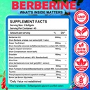 berberine-supplement-enhance-absorption--5.jpg
