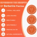 glp-1-berberine-patches-with-l-glutamine-2.jpg