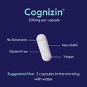 bestvite-cognizin-citicoline-500mg-180-v-6.jpg