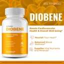diobene-capsules-official-diobene-suppor-4.jpg