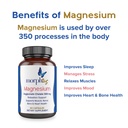 morphus-magnesium-bisglycinate-chelate-3-3.jpg