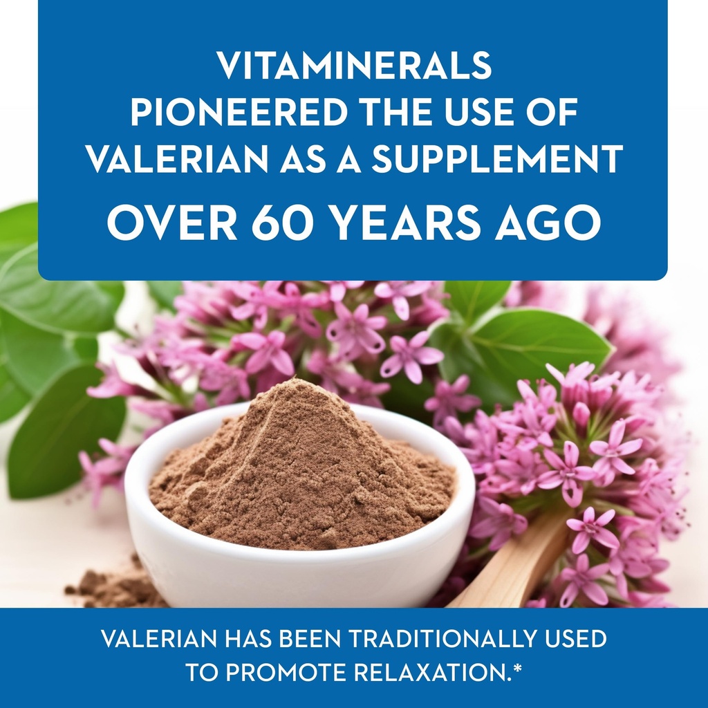 vitaminerals-33-baldrian-plus-natural-re-3.jpg