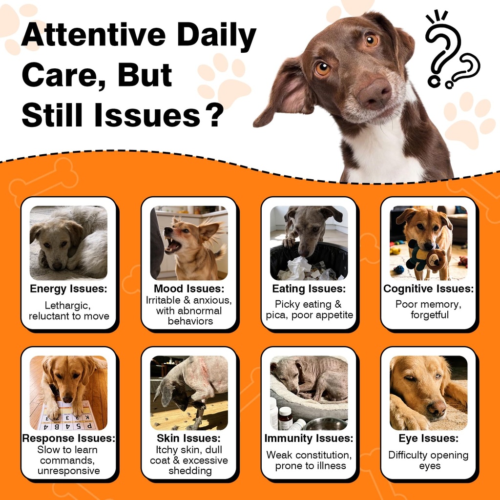 29-in-1-advanced-cognition-dog-vitamins--4.jpg
