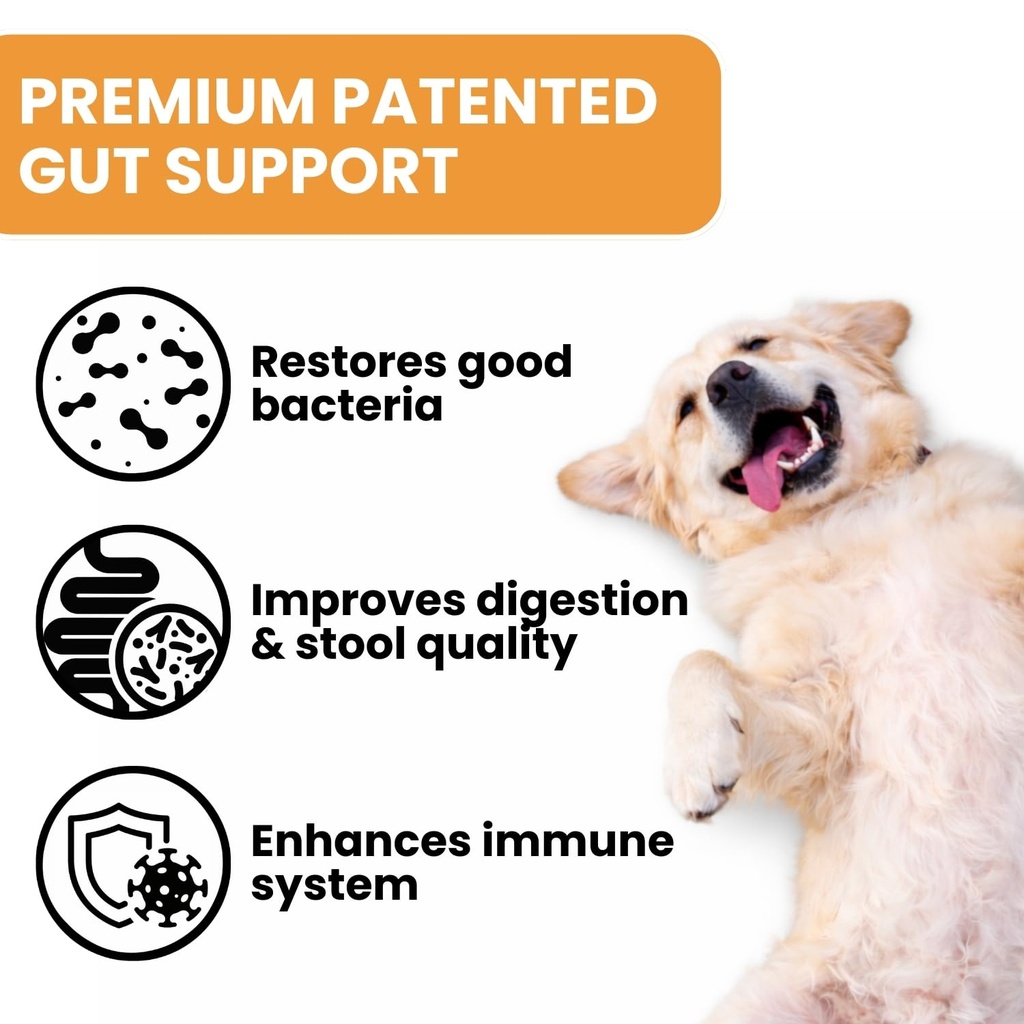 probiotics-for-dogs-bacillus-coagulans-p-2.jpg