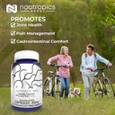 nootropics-depot-boswellia-phytosome-cap-3.jpg