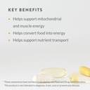 holistic-health-mitoforce-mitochondrial--6.jpg