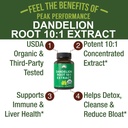 usda-organic-dandelion-root-extract-supp-2.jpg