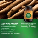 prana-enhance-ayurvedic-vitality-formula-2.jpg