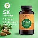 prana-enhance-ayurvedic-vitality-formula-3.jpg