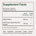 turrilife-premium-urolithin-a-98-purity--2.jpg