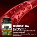 horse-chestnut-blood-circulation-capsule-2.jpg
