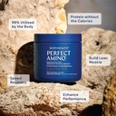 bodyhealth-perfectamino-powder---bcaa-an-3.jpg