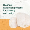 lions-mane-mushroom-capsules-strongest-1-6.jpg
