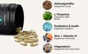gut-brain-synergy-probiotic-nootropic-30-2.jpg