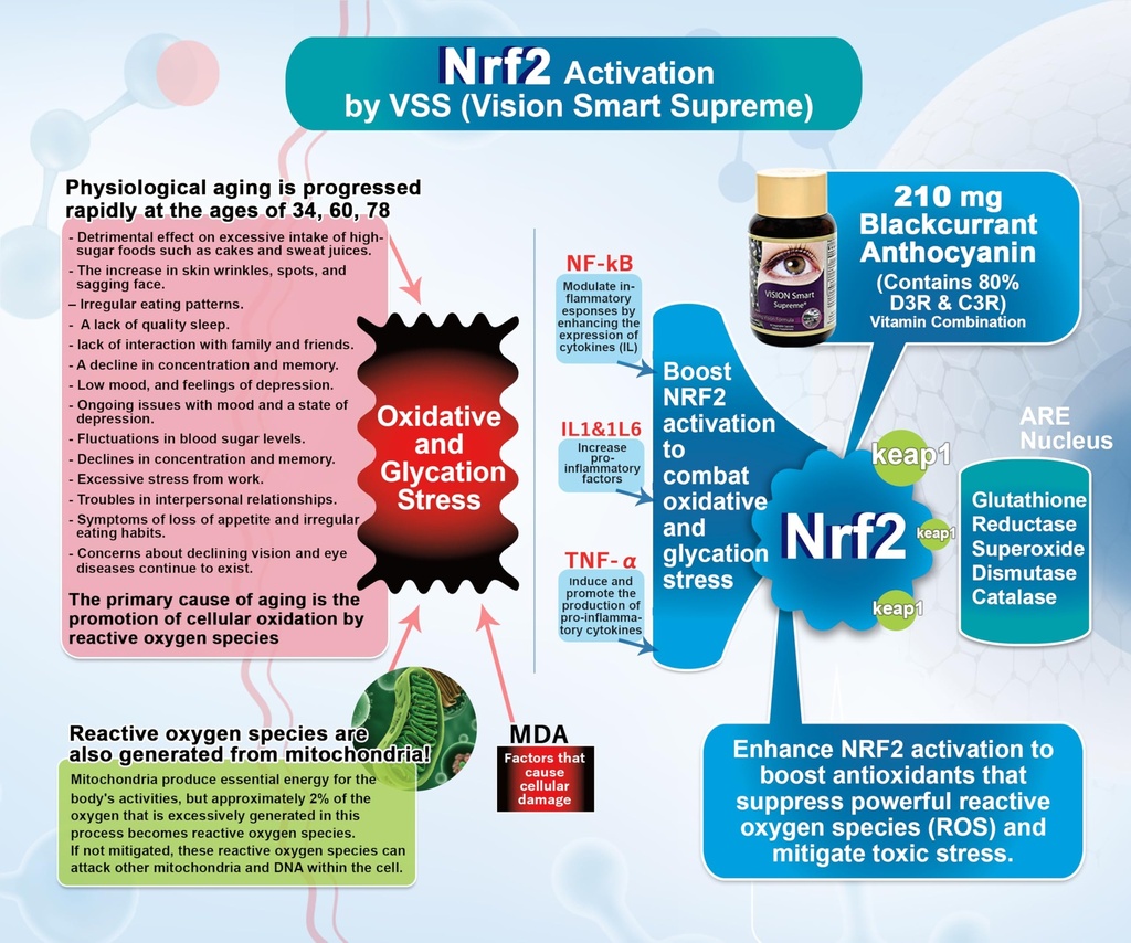 vision-smart-supreme-superior-eye-supple-3.jpg