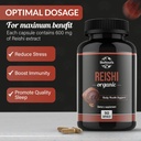 organic-reishi-mushroom-capsules-supplem-3.jpg