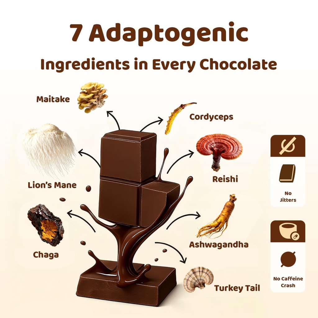 functional-mushroom-chocolate-mushroom-s-4.jpg