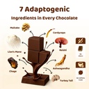 functional-mushroom-chocolate-mushroom-s-4.jpg