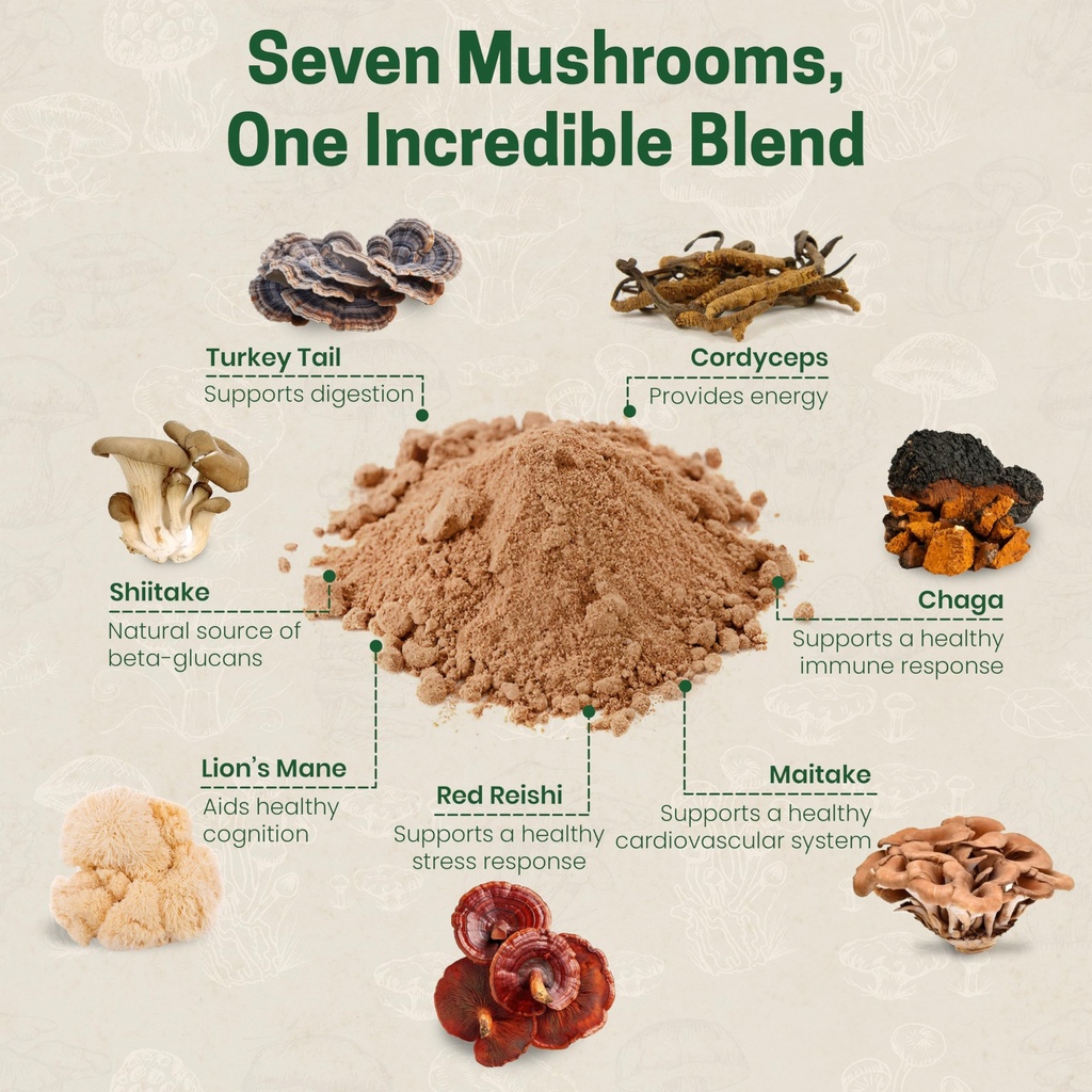 z-natural-foods-organic-7-sacred-mushroo-5.jpg