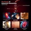 astaxanthin-supplement-12mg-liquid-drops-4.jpg