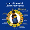 lymphatic-drainage-drops-herbal-suppleme-3.jpg