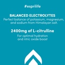 zero-sugar-electrolyte-drink-mix-waterme-5.jpg