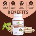 natural-fiber-ashwagandha-capsules-60-co-4.jpg