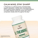 l-theanine-200mg-per-serving-supports-re-6.jpg
