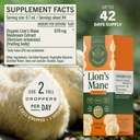 herbamama-lions-mane-supplement-brain-su-3.jpg