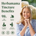 herbamama-lions-mane-supplement-brain-su-5.jpg