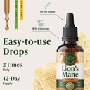 herbamama-lions-mane-supplement-brain-su-6.jpg
