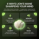 premium-organic-lion-s-mane-mushroom-sup-4.jpg