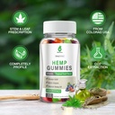 hemp-gummies-high-potency-for-pain-sleep-2.jpg