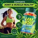 leaf-boss-hemp-gummies-official-leafboss-4.jpg
