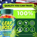 leaf-boss-hemp-gummies-official-leafboss-5.jpg