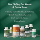 econugenics-advanced-detox-rescue-supple-6.jpg