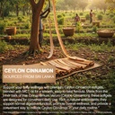 ceylon-cinnamon-300-softgels-with-mct-oi-5.jpg