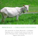 mt-capra-clean-minerals-with-collagen-pe-5.jpg