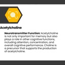 cognisync-nootropic-brain-health-supplem-5.jpg