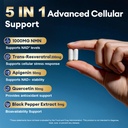 migcopat-brain-health-nmn-supplement-bun-5.jpg