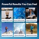 migcopat-brain-health-nmn-supplement-bun-6.jpg