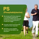 2-bottles-magnesium-100mg-dha-100mg-phos-3.jpg
