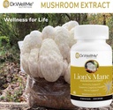 organic-lions-mane-mushroom-capsules-500-3.jpg