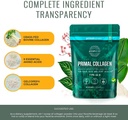 primal-harvest-super-greens-collagen-pow-6.jpg