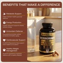earth-elixir-4-in-1-berberine-supplement-3.jpg