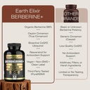 earth-elixir-4-in-1-berberine-supplement-4.jpg